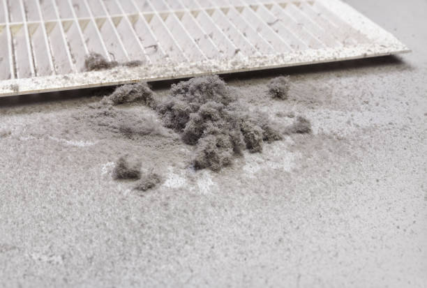 Best Home Air Vent Cleaning  in Kingston, PA