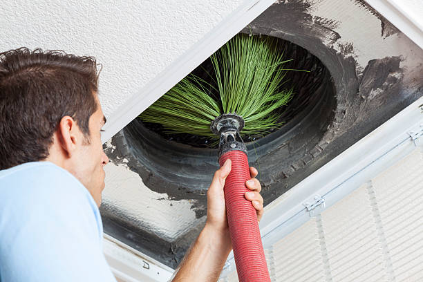 Best Dryer Vent Cleaning Services  in Kingston, PA